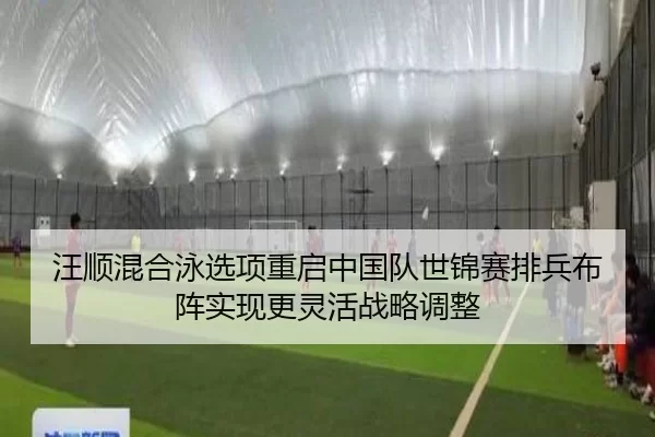 汪顺混合泳选项重启中国队世锦赛排兵布阵实现更灵活战略调整